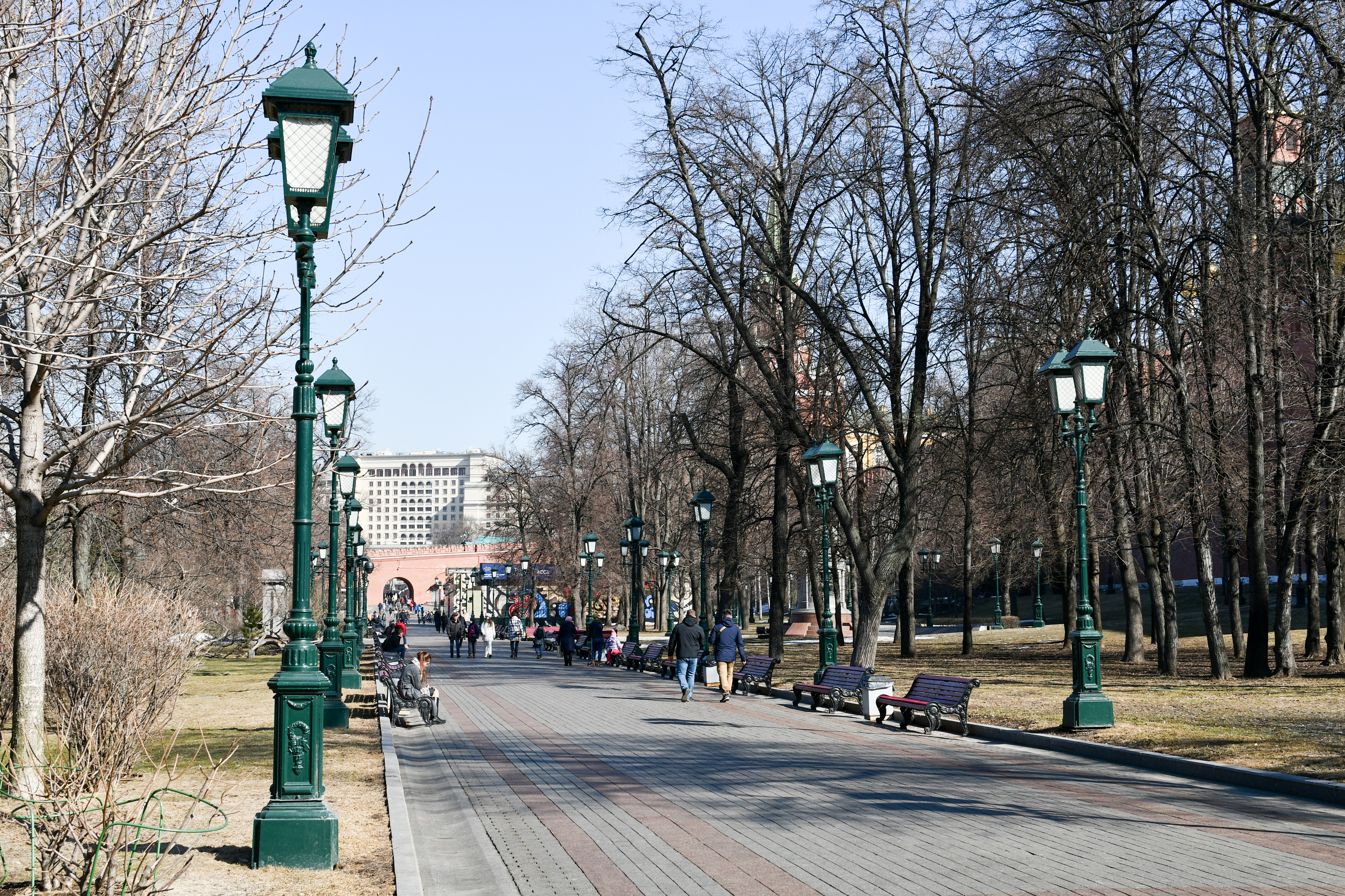 convocatoria-de-985-plazas-para-los-cuerpos-de-gestion-y-tramitacion-procesal-y-administrativa